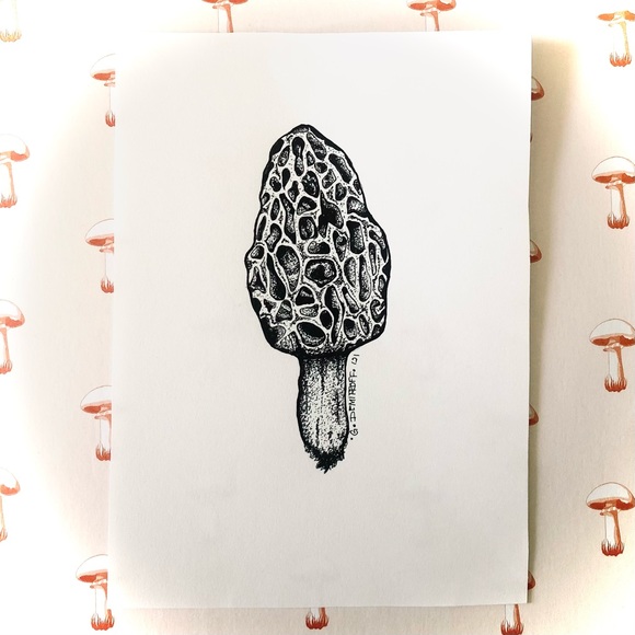Vintage Art Custom Morel Pen Ink Commissions Poshmark